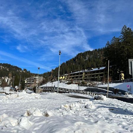 Mansarda Tra Le Dolomiti Di Brenta Apartment Bocenago Exterior foto